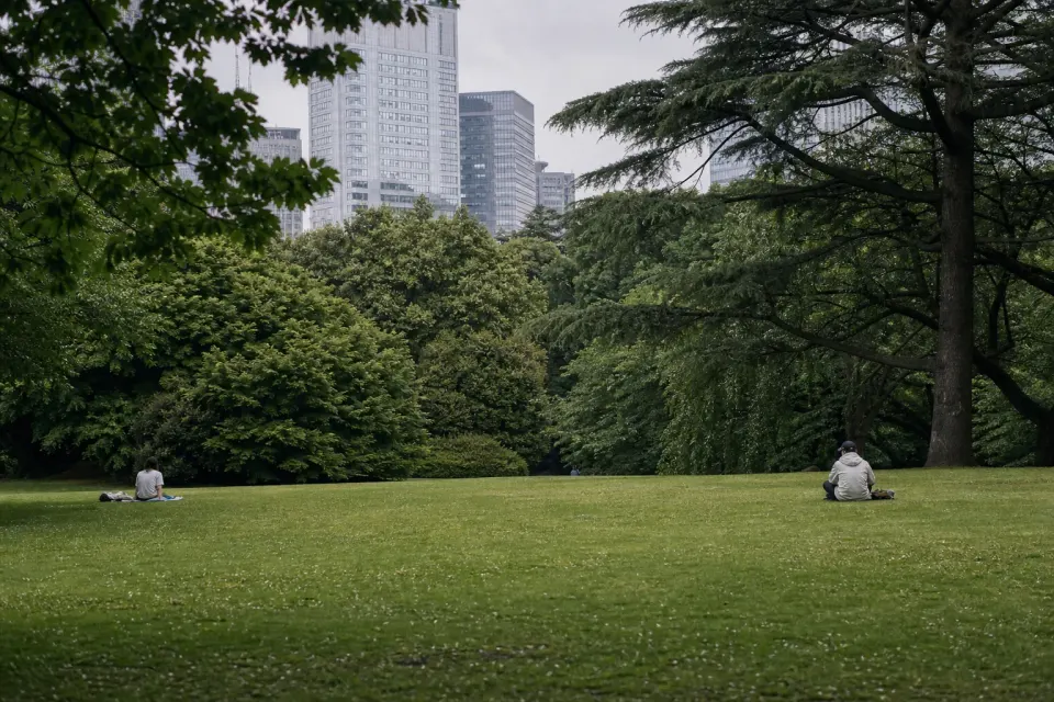 People resting on a lawn framed by trees, with city buildings beyond.